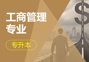 成人电子商务专业能干嘛