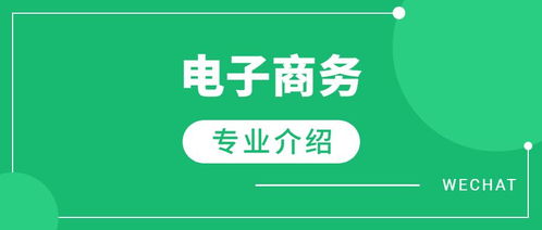 读电子商务专业要会啥