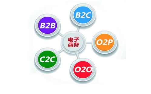 重师电子商务是几本专业